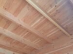 Studio de jardin Nantua 20m² bois Douglas 55mm – Image 2